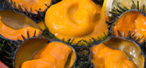 sea ​​urchin food: se sol preparar a la brasa o guisat amb tomàquet i altres ingredients.