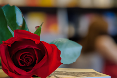 Una fotografía de un libro y una rosa. Tipica estampa de un Sant Jordi en una libreria de Barcelona.